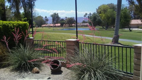 View from our shaded side patio