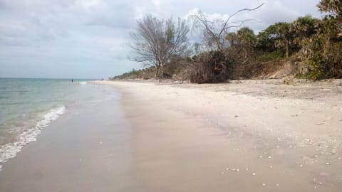 many pristine area beaches