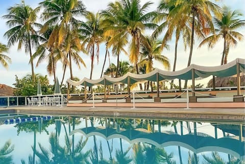 Soak up tropical vibes beside the sparkling palm-lined pool.