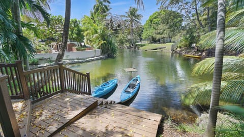 The kayak dock.Enjoy a peaceful kayaking adventure on a beautiful tropical pond