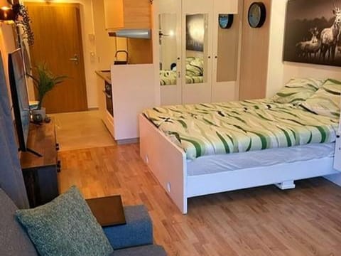 Apartment Kaiserseite Apartment in Ellmau