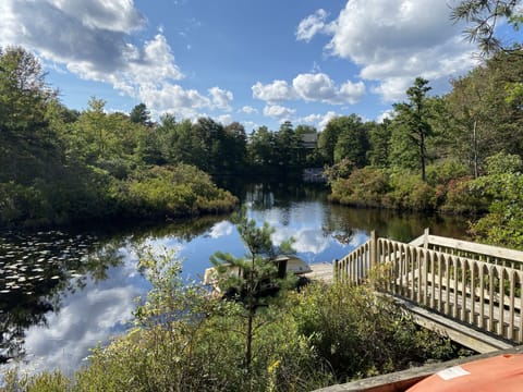 Dock in our private cove. 