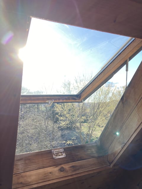 View out of the skylight in the loft.