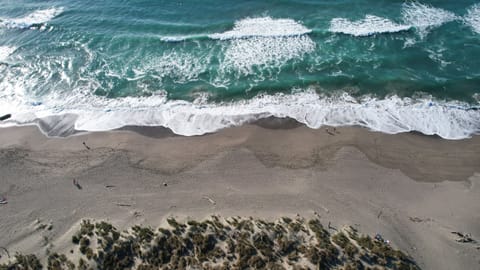Ocean waves are BIG & BOLD at South Salmon Creek State Beach