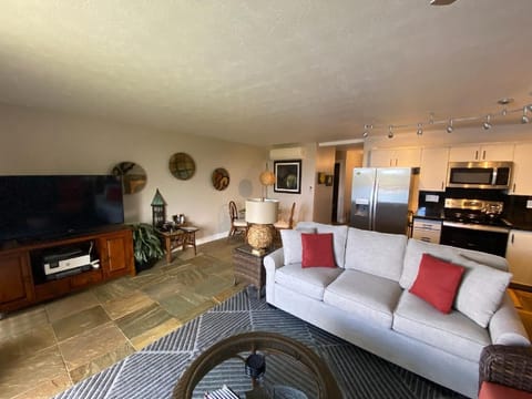 Watch the Ocean or TV or both!