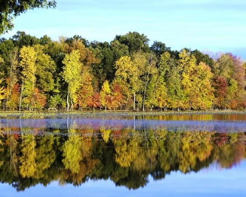 Lake