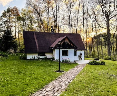 Escape to our charming country side cottage nestled in a verdant forest