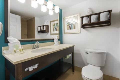 Full bathroom with a shower. Basic toiletries and towels are provided