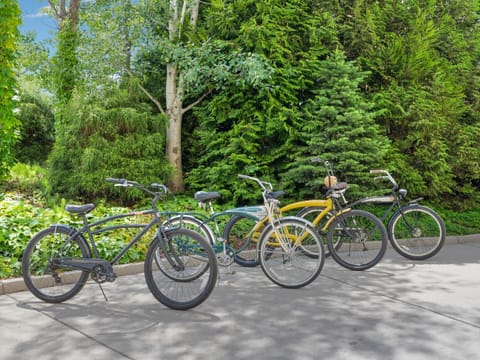 Bikes - Complimentary with this condo. No Helmets.