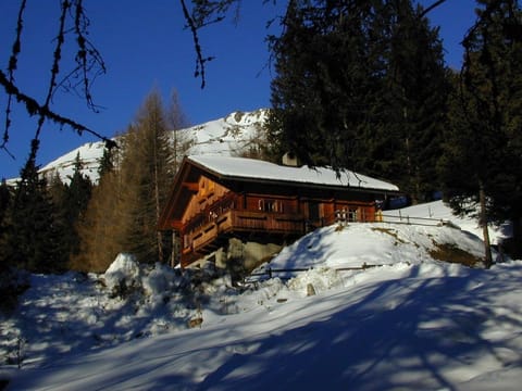 Gipper, Almhütte - hut with 4 bedrooms/ shower, WC Cabin in Carinthia, Austria
