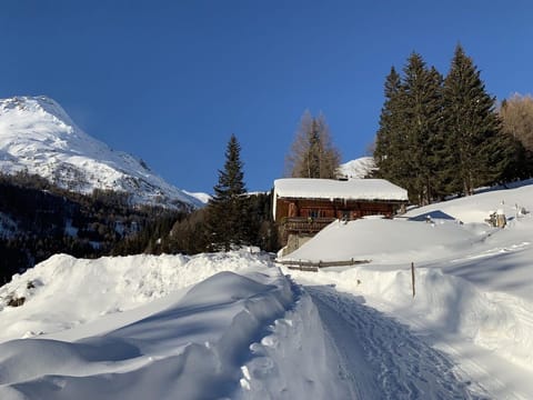 Gipper, Almhütte - hut with 4 bedrooms/ shower, WC Cabin in Carinthia, Austria