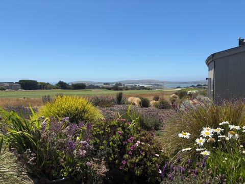 Backyard Summer blooms with fairway and water views beyond.