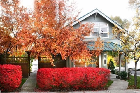 Broadway Cottage, sleeps 4, Downtown Walk everywhere