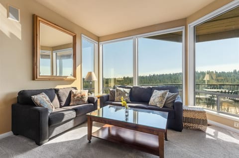 Living room w sofa sleeper, river views