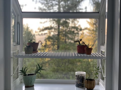 Foothill views throughout the Main floor bathroom