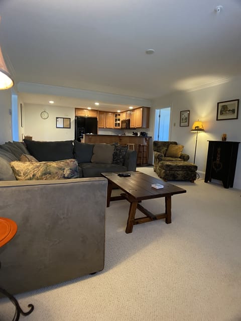 Couch pulls out if needed