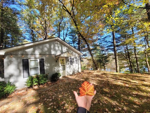 Cabin view from driveway