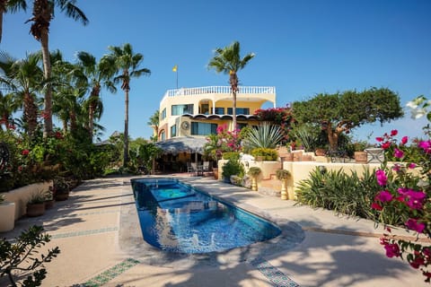 Naturally heated, salt water pool.