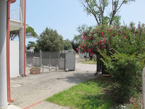 Shrub, Public Space, Human Settlement, Shade, Garden, Yard, Concrete, Landscaping, Driveway, Backyard