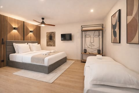 Large main space with Queen size and sofa bed.