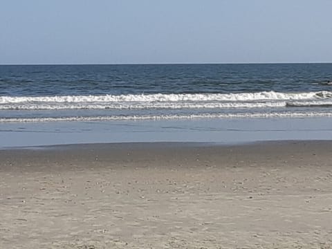 Ocean 10 miles East.  501 (Myrtle) and 544 ( Surfside) take you  to  beaches.   
