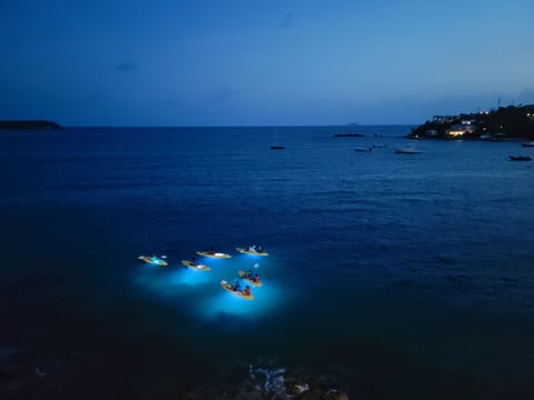 Night-time kayaking tour