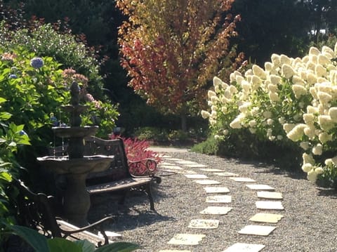 Garden bloom scene
 summer white hydrangeas. 