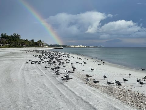 Views of a small part of your beach. Paradise and never crowded!