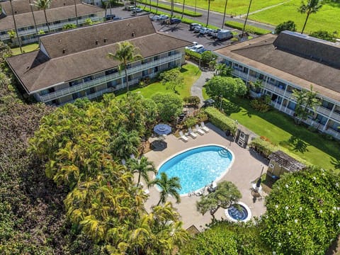 Soak up sunshine by the sparkling pool surrounded by palms.