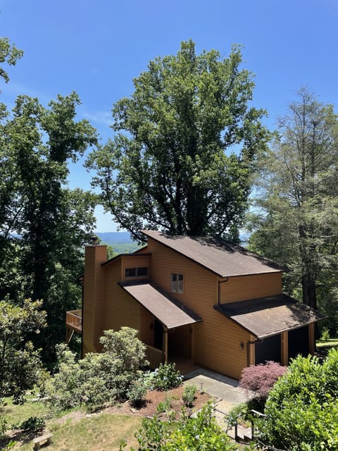 Overview of Home! Freshly painted and thick greenery surrounding house!