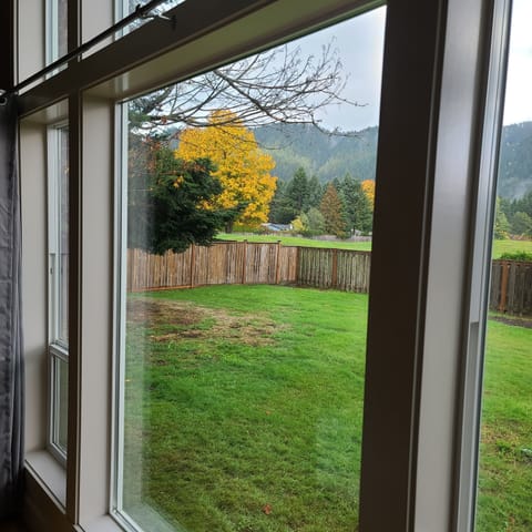 Living Room Window view of yard.