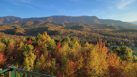 October Views from Deck