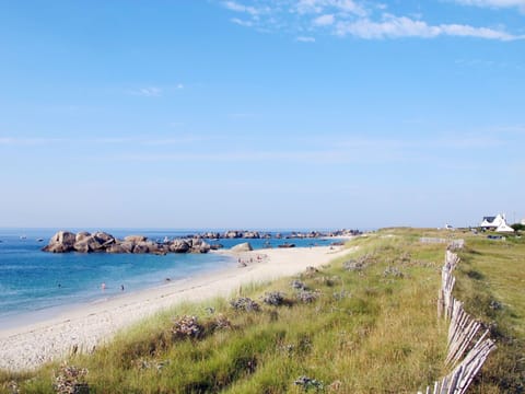 Sky, Building, Plant, Urban Design, Tower Block, Condominium, Real Estate, City, Facade, Commercial Building