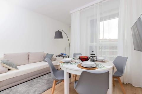 Living area with comfortable sofa bed.