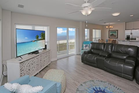 Living Room View & TV