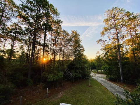 Sunrise from the cabin deck