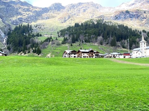 Immediate Surroundings [summer] (<1 km)