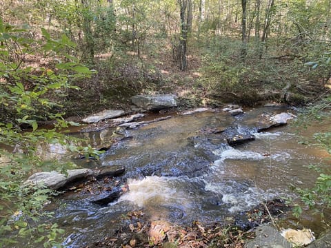 Beautiful creek just footsteps from your door.