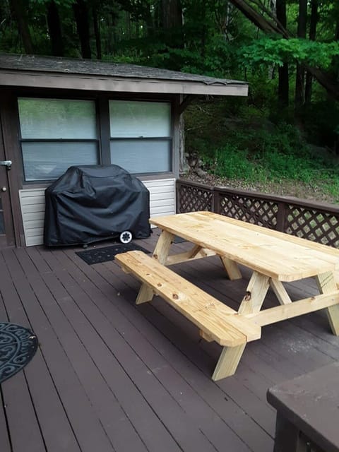 Back Porch with grill and picnic table. 