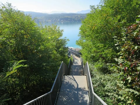 Sky, Water, Natural Landscape, Nature, Leaf, Vegetation, Sunlight, Biome, Tree