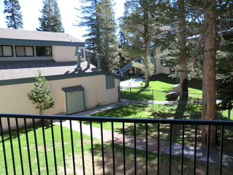 Railing, Tree, Fir, Outdoors, Arbour
