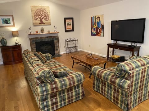 Living room with gas fireplace and 58" TV with Firestick streaming and DVD.