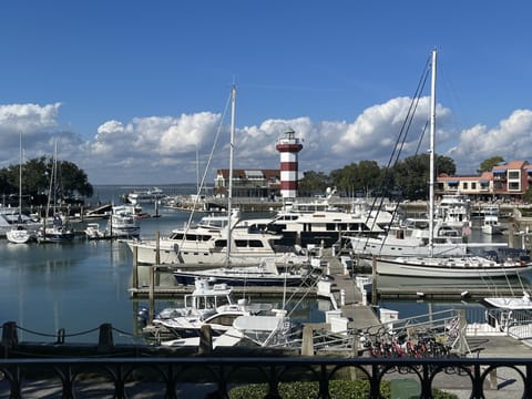 Beautiful Harbor views from our balcony