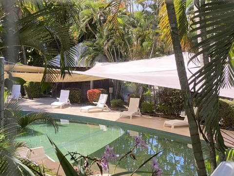 Outstanding pool and rainforest garden views