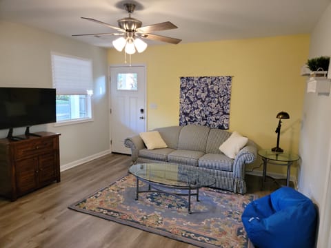 Living room view from the kitchen. Sofa Queen size sleeper sofa 