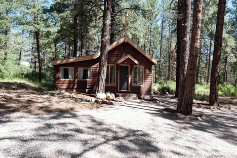 Pet Friendly Vacation Rental Cabin on 3.5 Acres between Durango and Purgatory Resort.