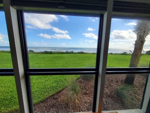 View from Master Bedroom