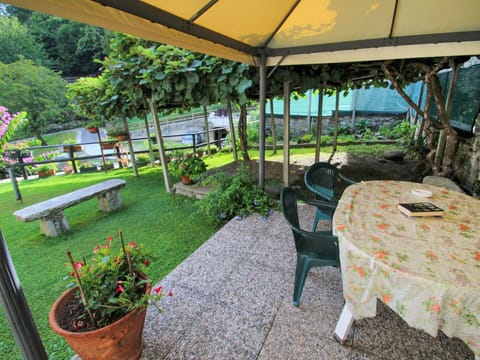 Plant, Property, Table, Flowerpot, Shade, Interior Design, Outdoor Furniture, Flower, Tree, Leisure