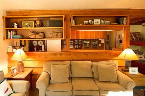Pull-out sofa in Living Room