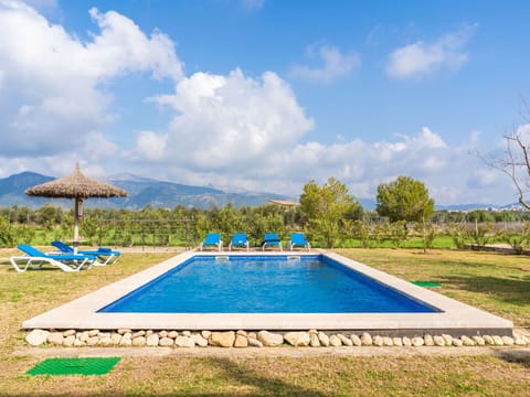 Sky, Water, Plant, Cloud, Property, Swimming Pool, Azure, Tree, Rectangle, Land Lot